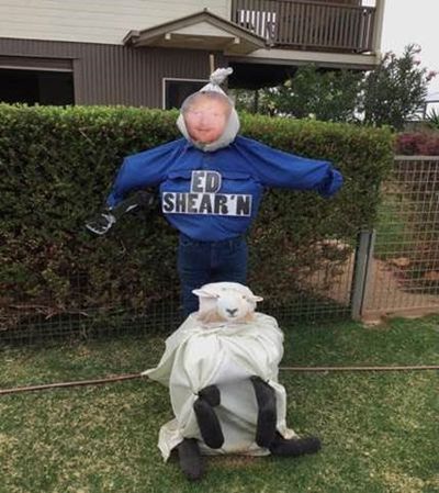 Best Residential Scarecrows