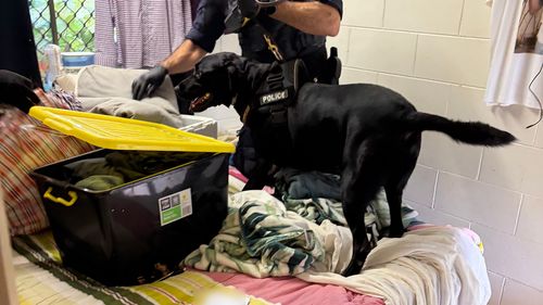 Il mese scorso sono state condotte perquisizioni in case e aziende nel Queensland, dopo una lunga indagine.