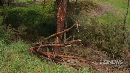 The car was hidden from view after leaving the road. (9NEWS)