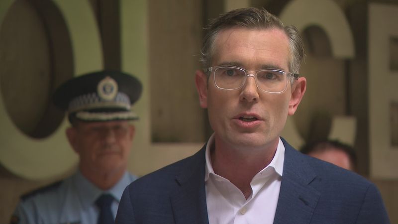 NSW police crime squad expansion to target bikie gangs | Nine.com.au