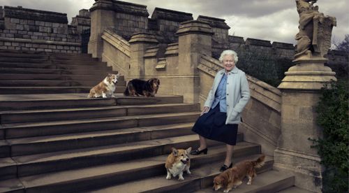 The Queen with her dogs. (AFP / Annie Leibovitz)