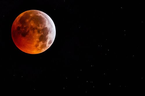 A couple in Florida were run over by a police officer while they were watching the super blood wolf moon eclipse.