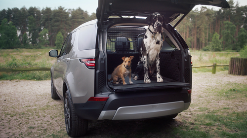 The Land Rover Pet Pack has accessories for every pet family, no matter what size your fur baby is.