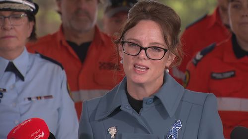 Minister for Flood Recovery, Emergency Services and Resilience Steph Cooke is speaking from Windsor, north of Sydney, to mark the official start of the summer storm season.