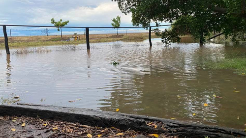 Jill Dyer's garden in Stainburn Downs, Queensland now resembles a pool. 