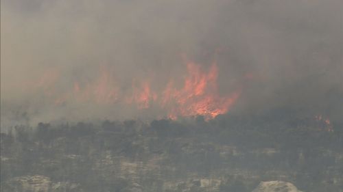 Wedge Island, Grey bushfire