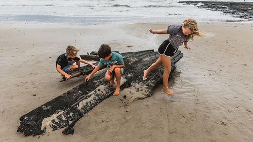 Ex-Cyclone Alfred has unearthed what is believed to be part of historic ship The Comet on a Ballina Beach. Photo shows Ocsar Pllo, Axel Doherty and Daisy Plooy playing by it. 