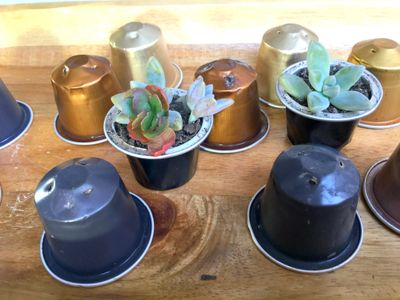 Recycled coffee-pod playground for fairy gardens