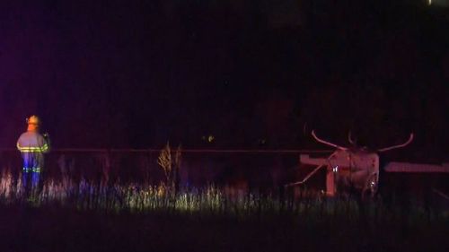 The plane brought down power lines as it crashed. Picture: 9NEWS