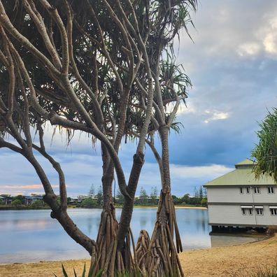 novotel sunshine coast resort