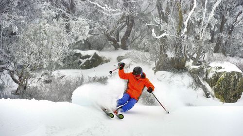 A skier enjoying snowfall at the Mount Buller Ski Resort in the Victorian Alps. (AAP stock)