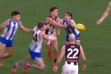 Nick Daicos was let off the leash in this moment.