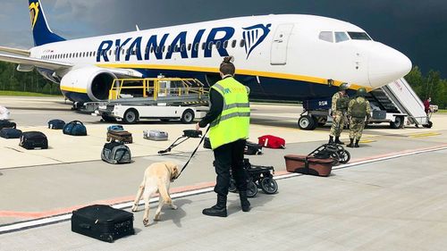 A handler leads a dog along a line of luggage, searching for illegal substances being smuggled across borders.