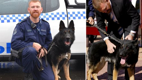 Tributes flow for NSW police dog Chuck who took down fugitive Malcolm Naden