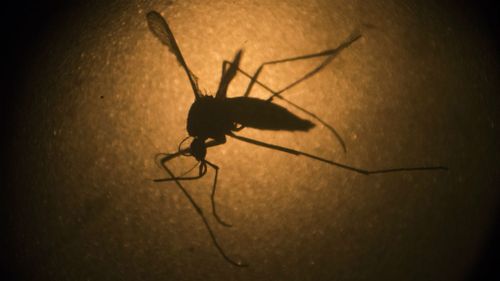 Death of newborn baby girl in the US linked to Zika virus