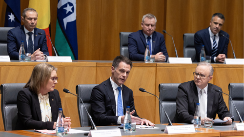 Anthony Albanese and premiers and chief ministers following a National Cabinet meeting.