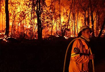 Where were the 2001 Black Christmas bushfires?