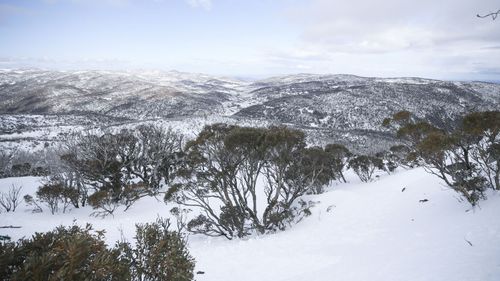 A skiier is missing in the high country in the NSW Snowy Mountains.