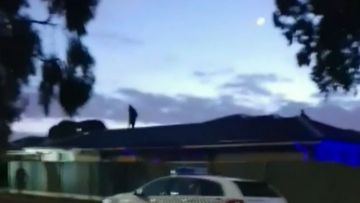 Suspect's roof-top getaway attempt stuns residents