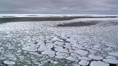 Ice in the ocean off the southern continent steadily increased from 1979 and hit a record high in 2014.