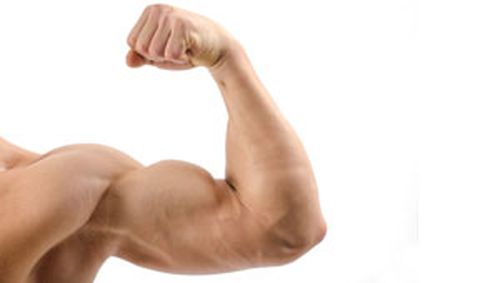 Does training one bicep grow the other? Volunteers wanted for new study