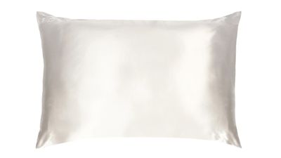 Slip Silk pillow case: $85
