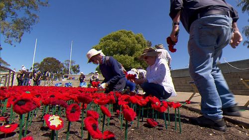 The hand-knitted poppies mark the Australian soldiers who died in World War One.