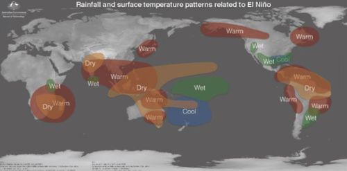 Global effects of the 2015-16 El Nino. Picture: Bureau of Meteorology