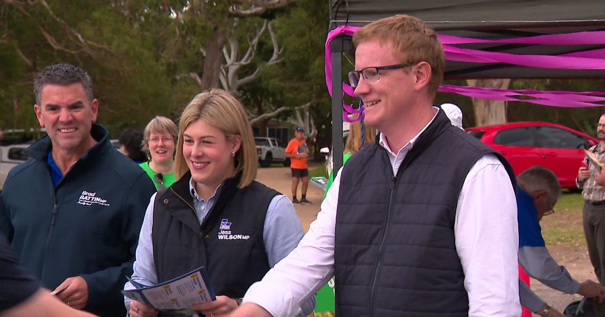 Victorian Liberals hold onto Nepean after gliding to by-election victory