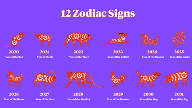 Chinese Zodiac graphic