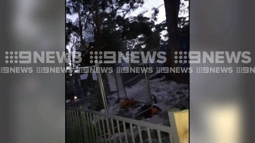 A burst water main has flooded three homes on the New South Wales Central Coast. Picture: 9NEWS