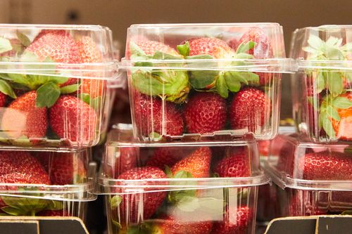 Strawberry farmers are now worried for their futures.