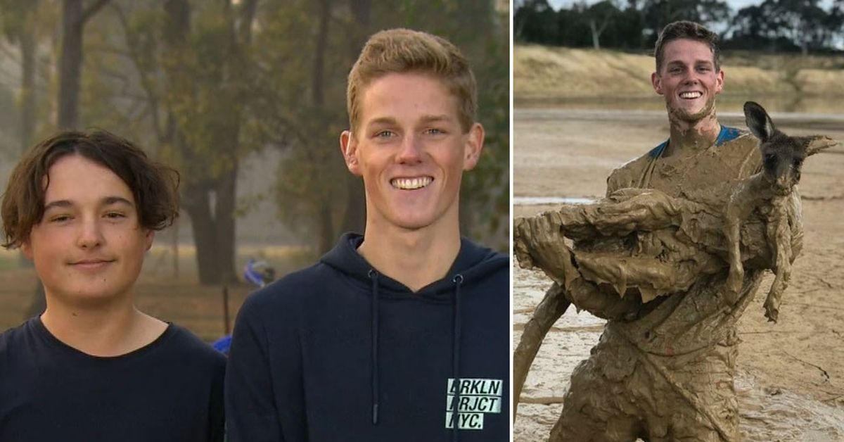 Teenagers mount rescue operation for kangaroo stranded in deep mud