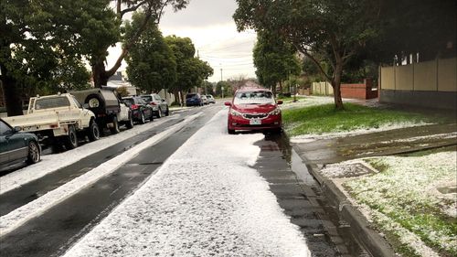 Parts of Melbourne were battered by a freak hail storm on Saturday afternoon, including the suburb of Thornbury.