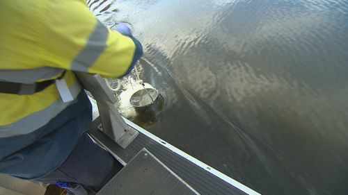 Sydney Water staff are running a testing blitz on our waterways, with recent downpours causing rapid stormwater run-off.