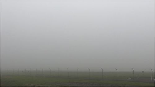 A thick blanket of fog is causing flight delays at Adelaide Airport.