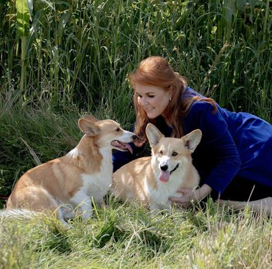 Sarah, Duchess of York with the late Queen Elizabeth's corgis
