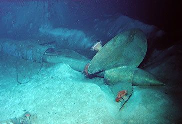 The wreck of HMAS Sydney was found in which ocean in 2008?