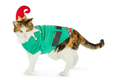 Dress your cat up as a Christmas elf