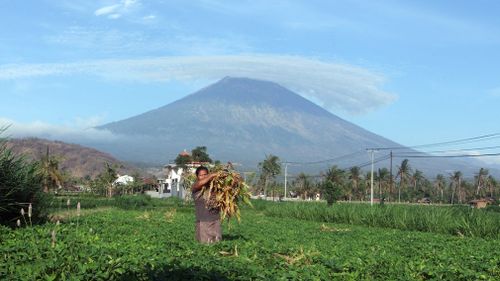 A woman works at a field with Mount Agung seen in the background in Amed, Bali, Indonesia. (AP)