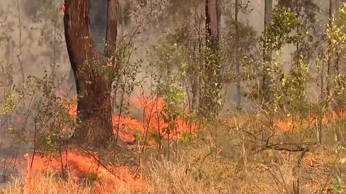 Alertas de incêndio florestal em Buladelah