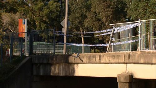 Campsie Cooks River crash