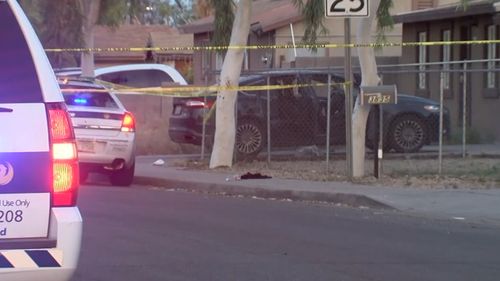 News USA Phoenix fatal road rage shooting girl 10 killed home driveway