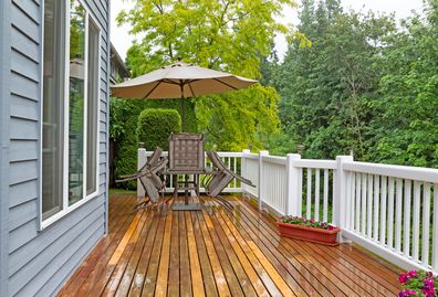 Garden backyard front yard outdoor rain