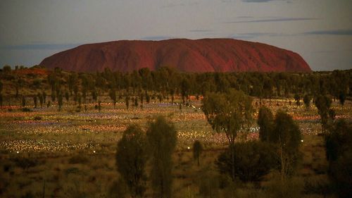 Uluru is the biggest rock in the world and a sacred landmark for the Anangu people.