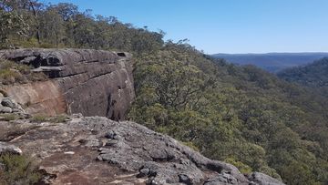 A woman has died after falling 50 metres from the popular lookout on the McKenzie&#x27;s Saddle walking track.