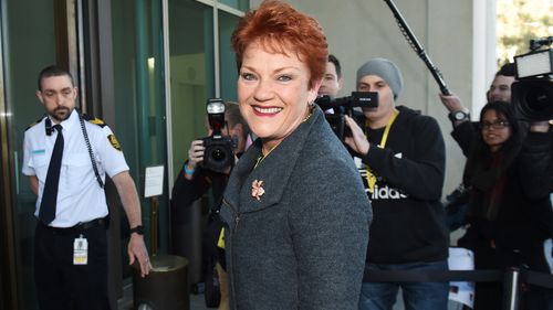 'I am back': Pauline Hanson beams after almost 20 years out in the cold