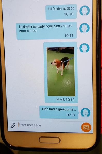 Dog groomer's autocorrect mistake