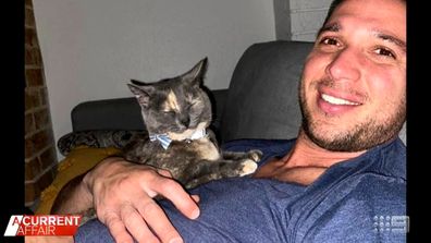 A cat called Tara is missing, after a mix up at The Bondi Junction Veterinary Hospital - involving another cat called Lara.