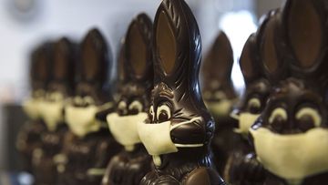 chocolate rabbits with face masks are lined up at the Cocoatree chocolate shop in Lonzee, Belgium.